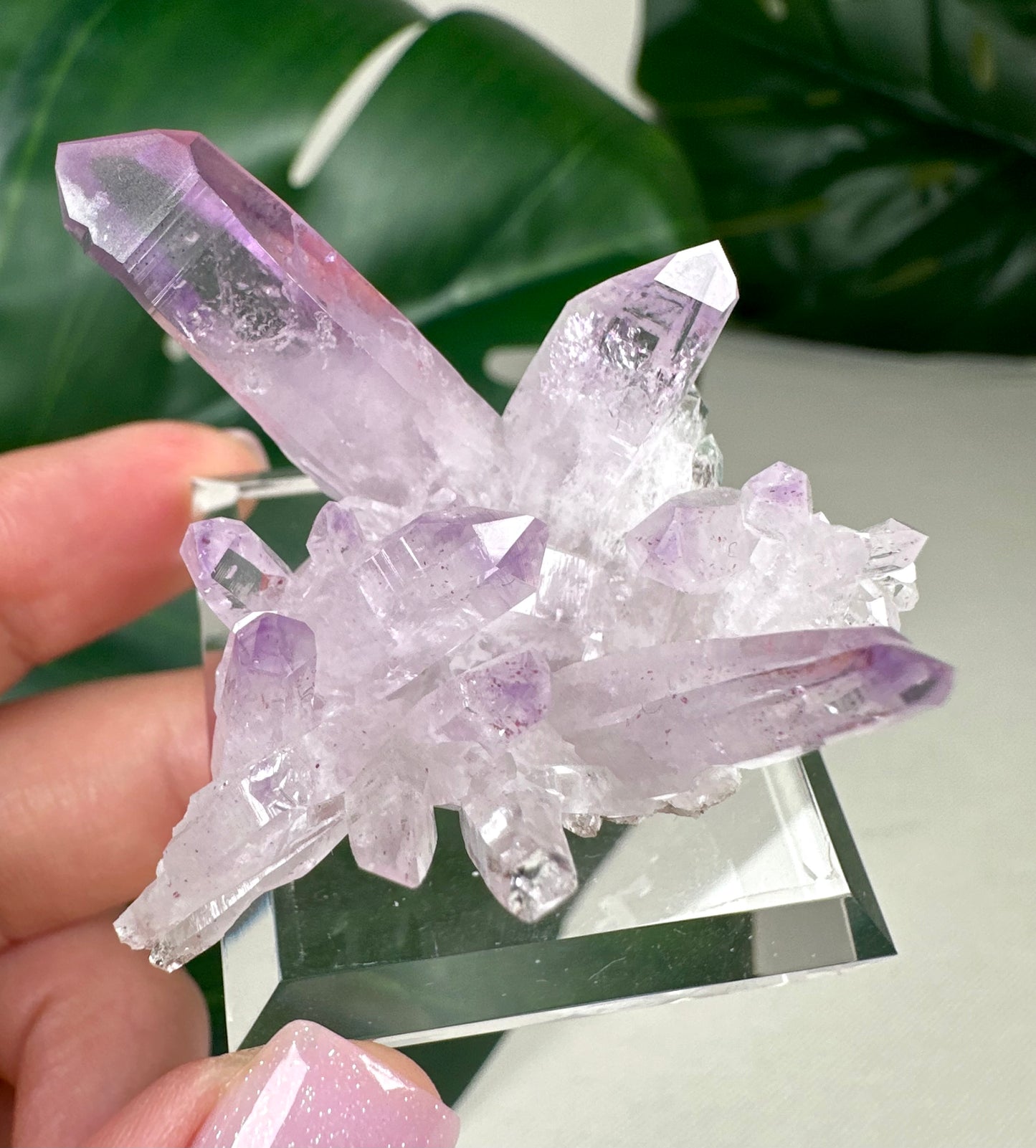 Vera Cruz Amethyst Nr. 149VC