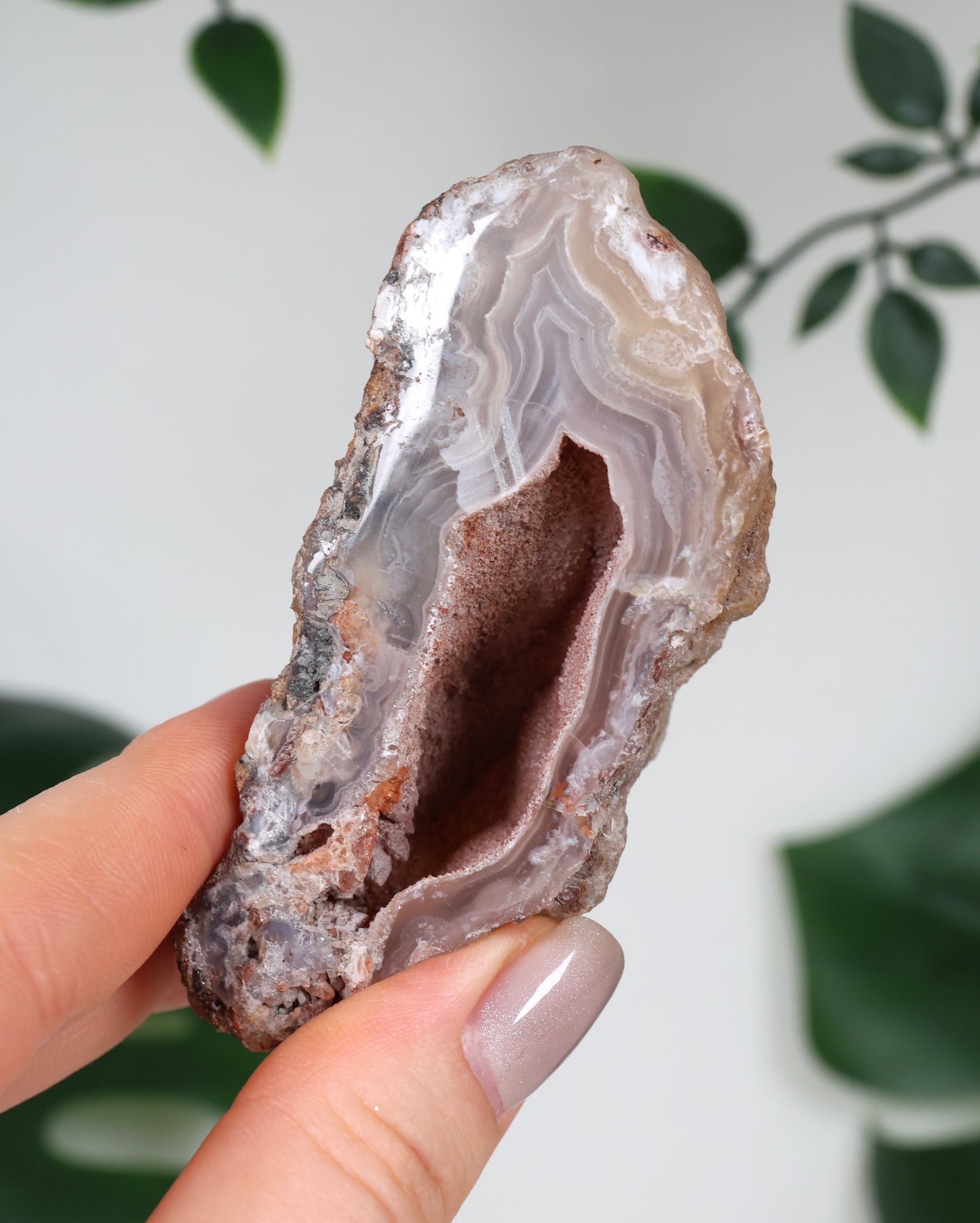 Laguna Achat Geode Nr.99LA