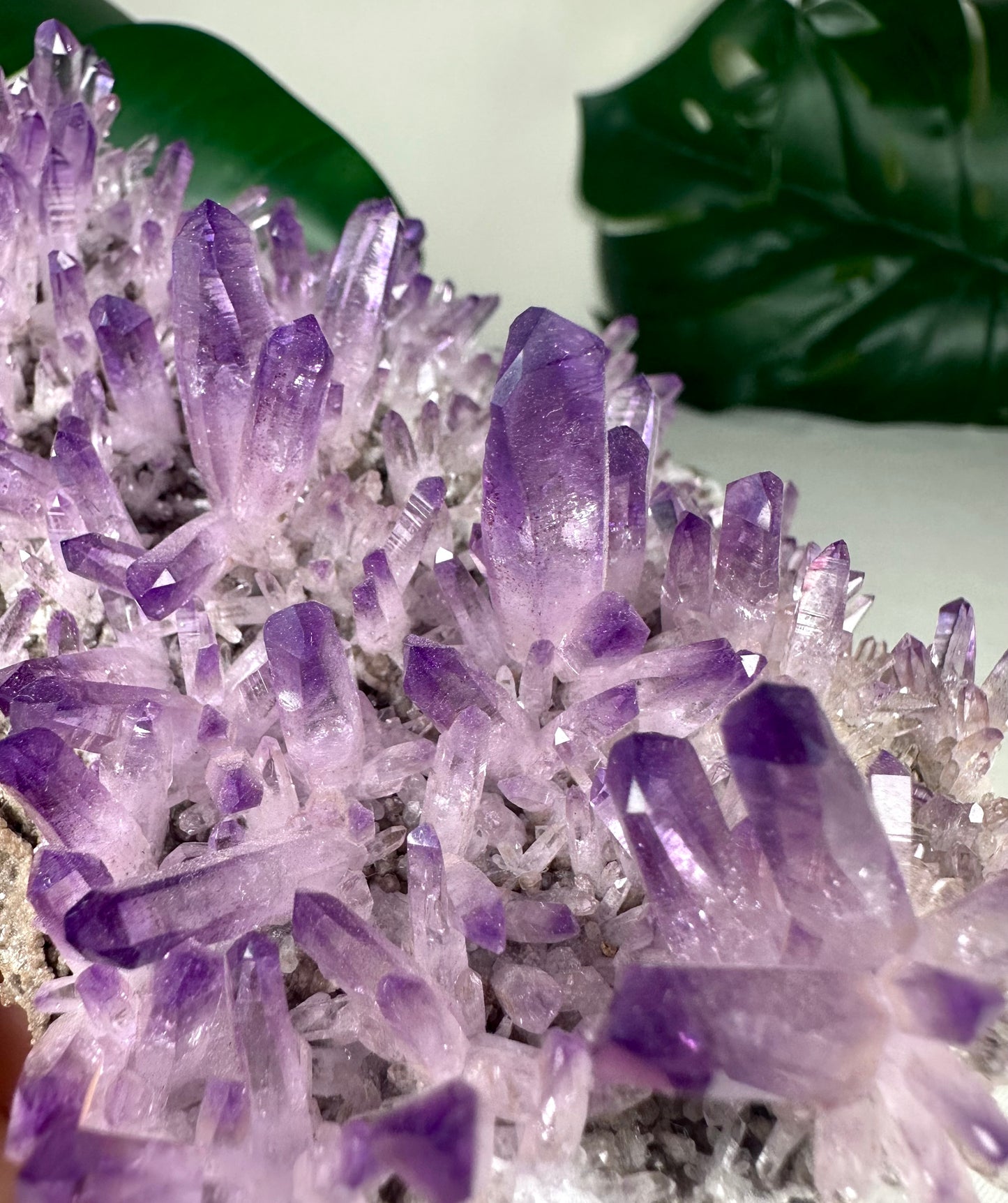 Vera Cruz Amethyst XL Nr.1149VA