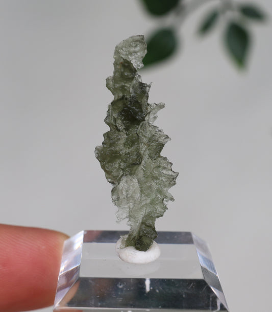 Moldavite No. 104MV