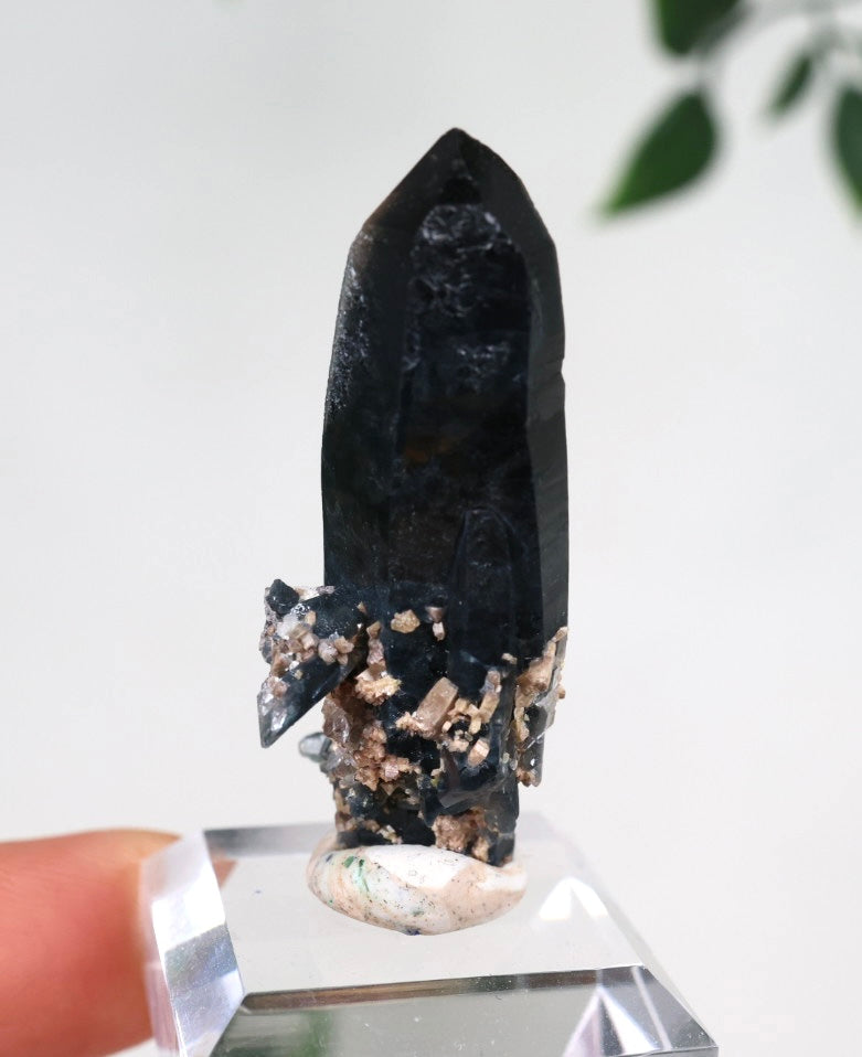 Malawi Quarz mit Riebeckit Nr.62MQ