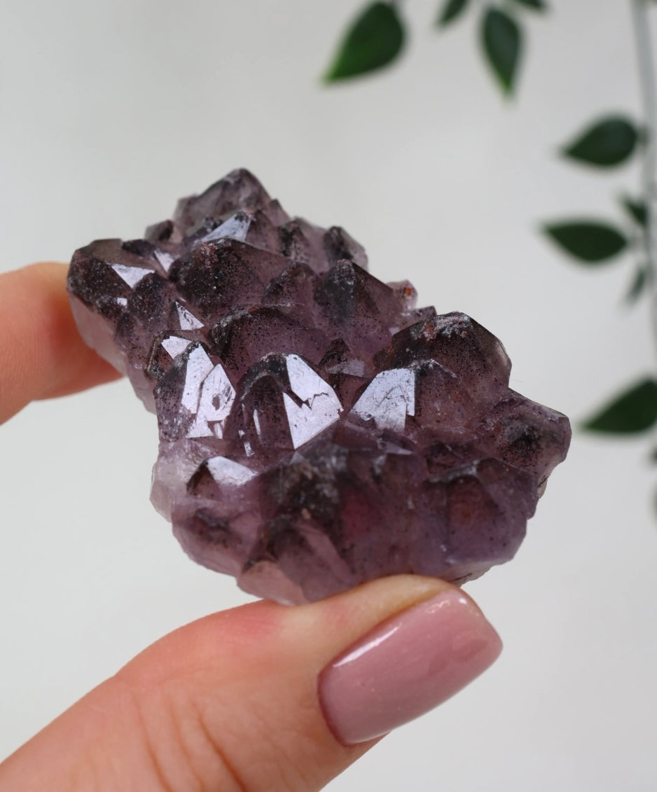 Amethyst x Hämatit Nr.32AH