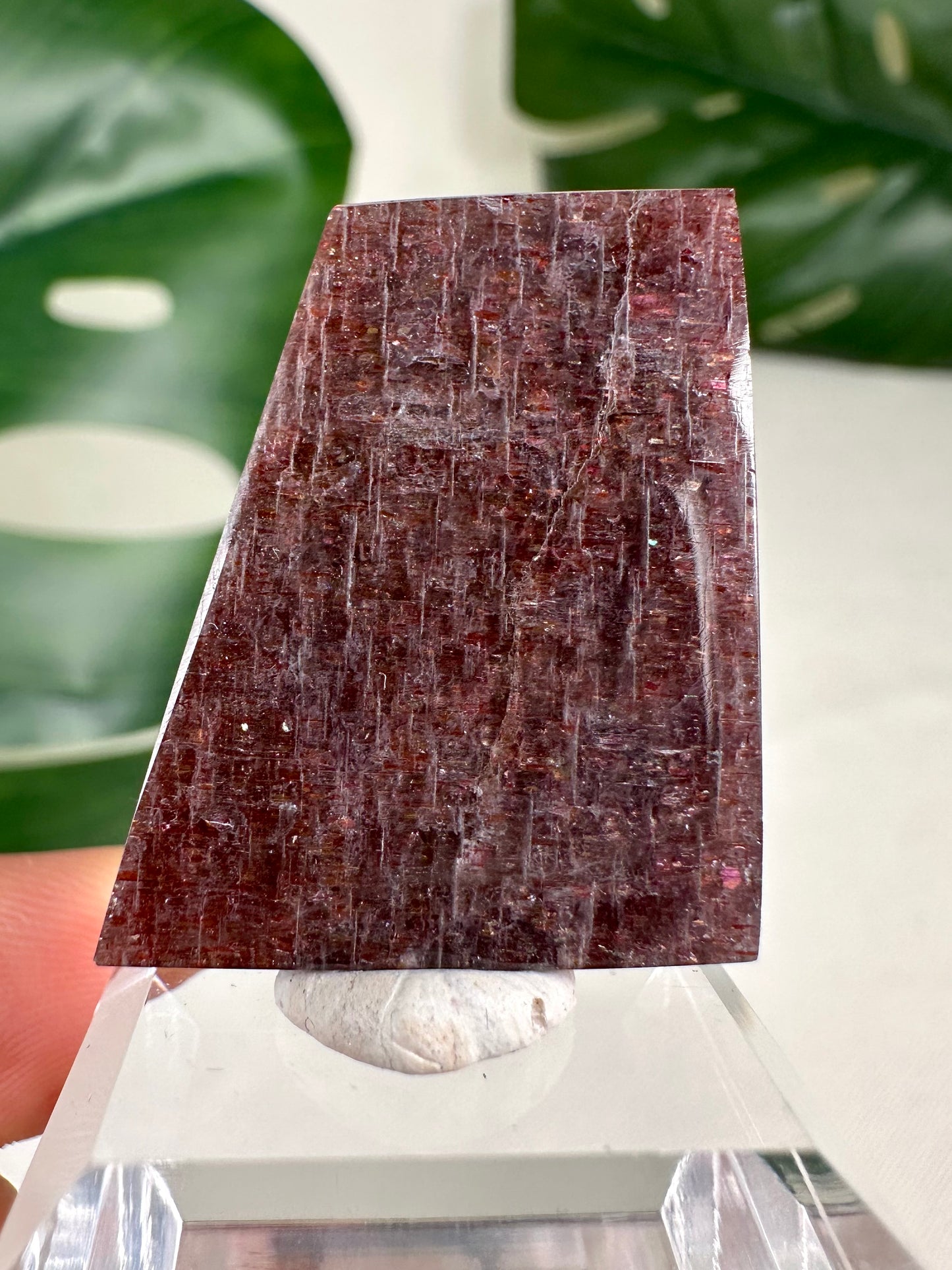 Iolita con piedra solar n.º 65SI