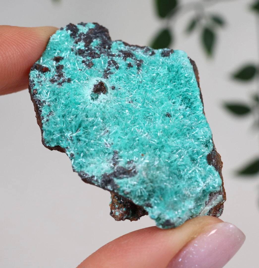 Aurichalcite Nr.36AU