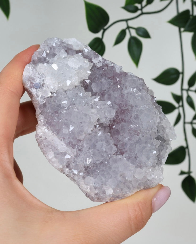 Lavendel Quarz Nr.72LV