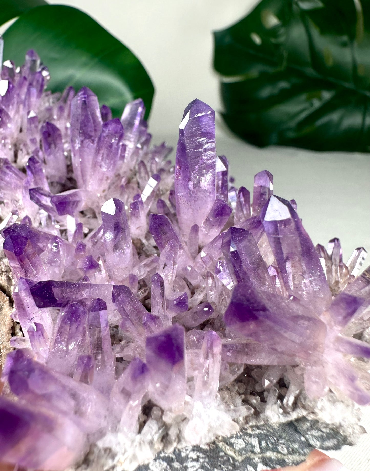 Vera Cruz Amethyst XL Nr.1149VA