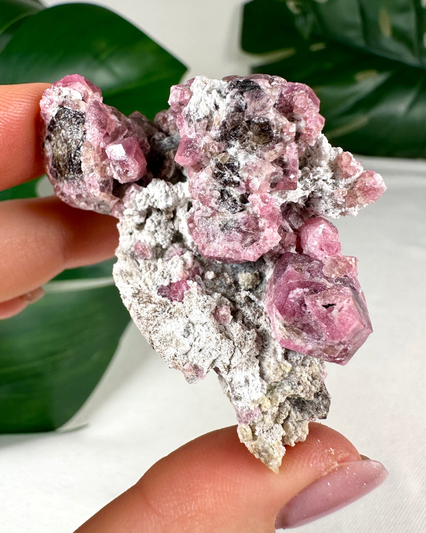 Pinker Granat Nr.36PG