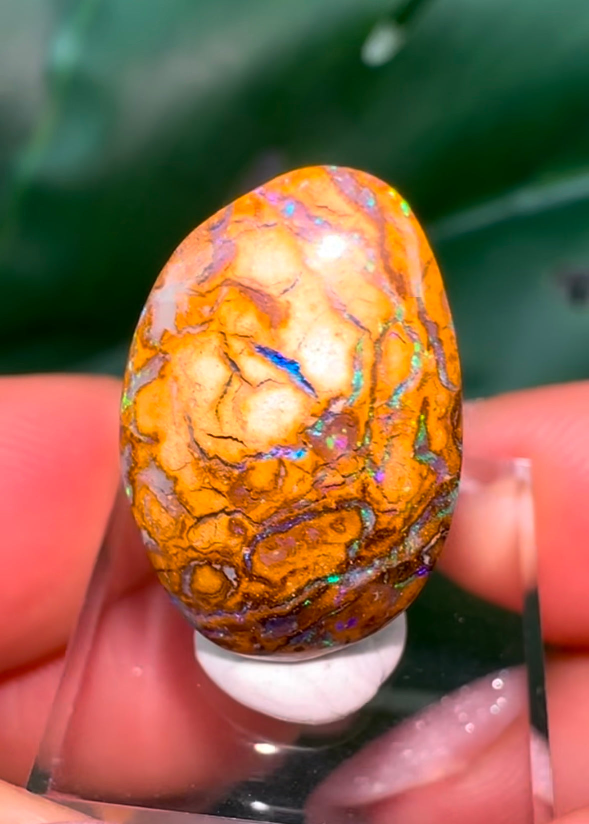 Koroit Nuss Boulder Opal Nr.290KO