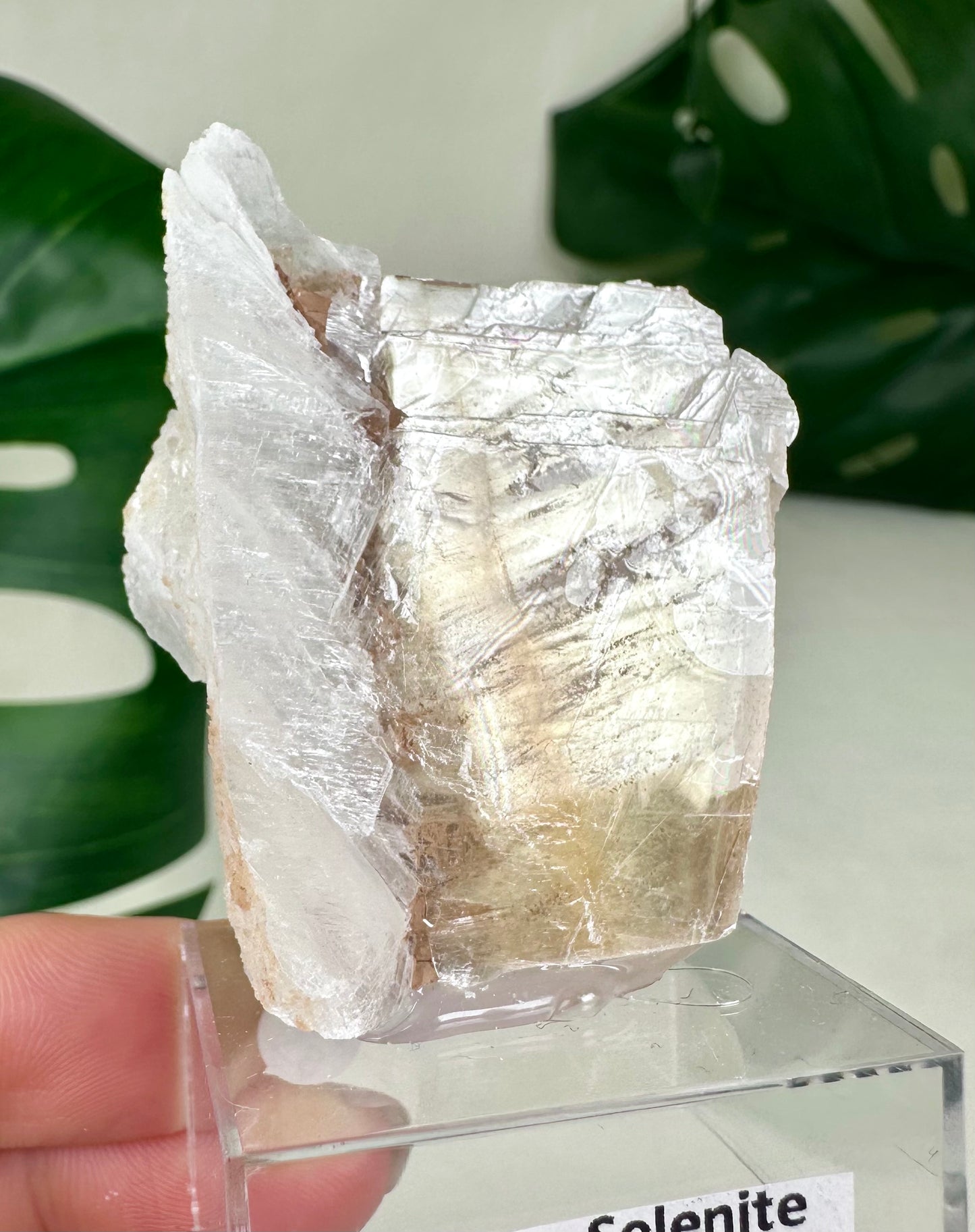 Bicolor Selenite No. 20BS