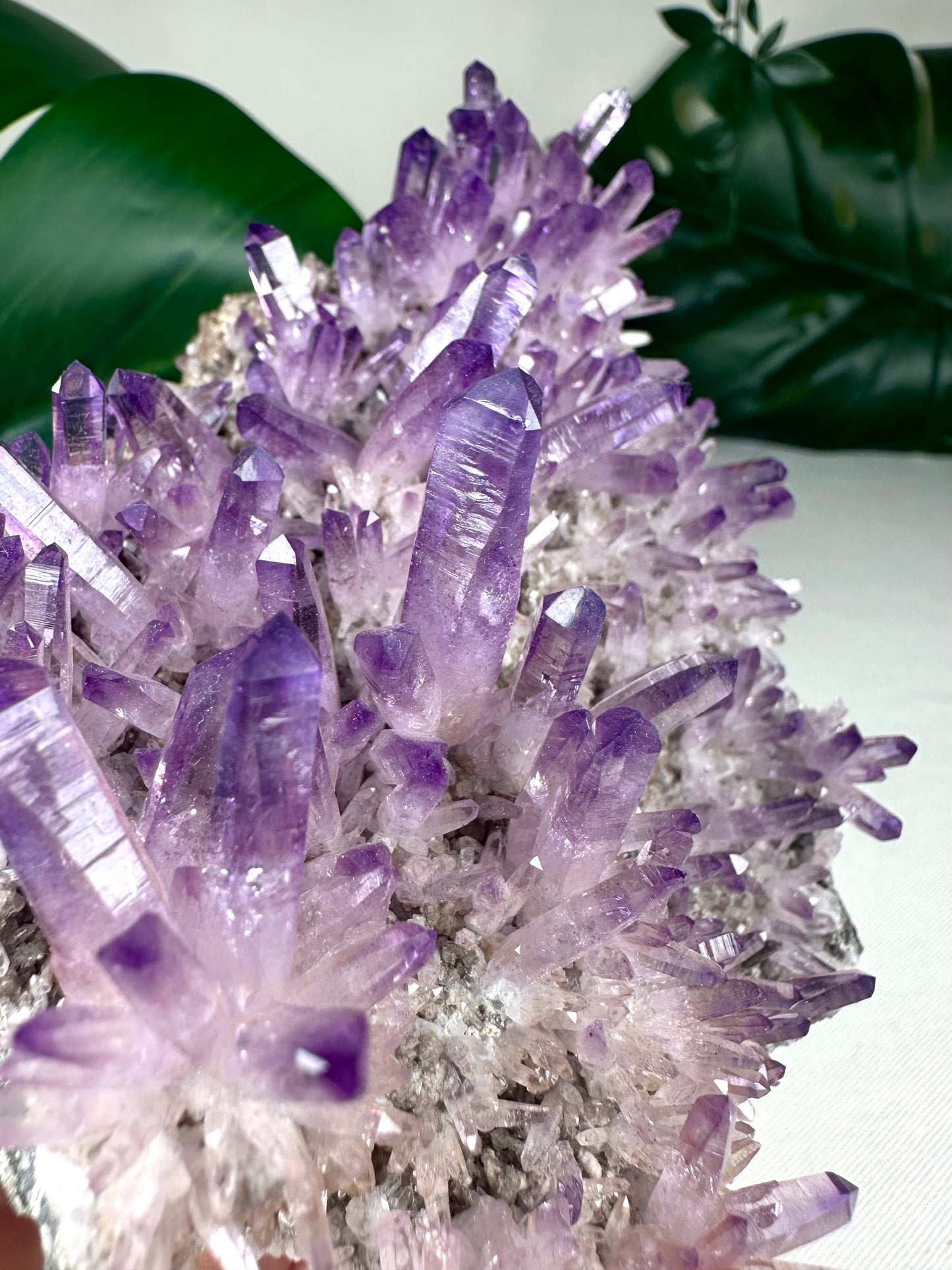 Vera Cruz Amethyst XL Nr.1149VA