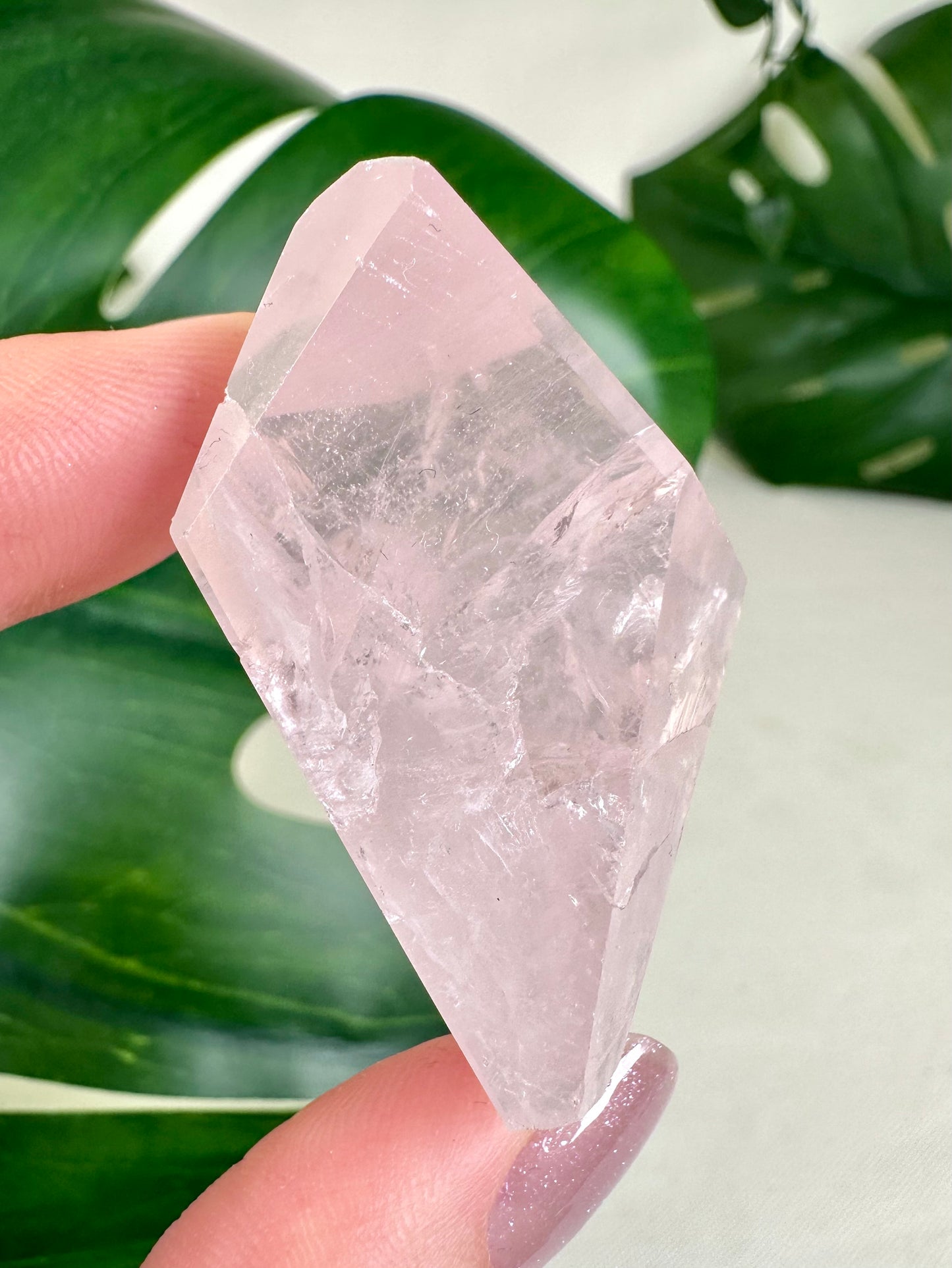 Rose Quartz No. 21R2