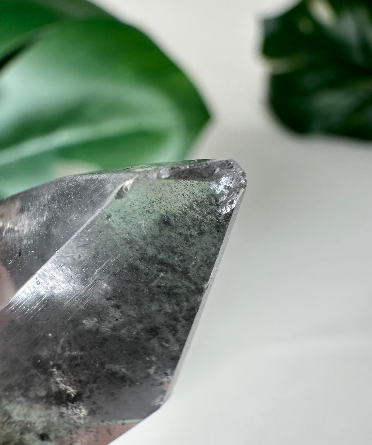 Black Phantom Lemurian Nr.27BP B-Ware