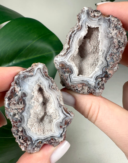 Laguna Agate Geodes Pair No.100L1