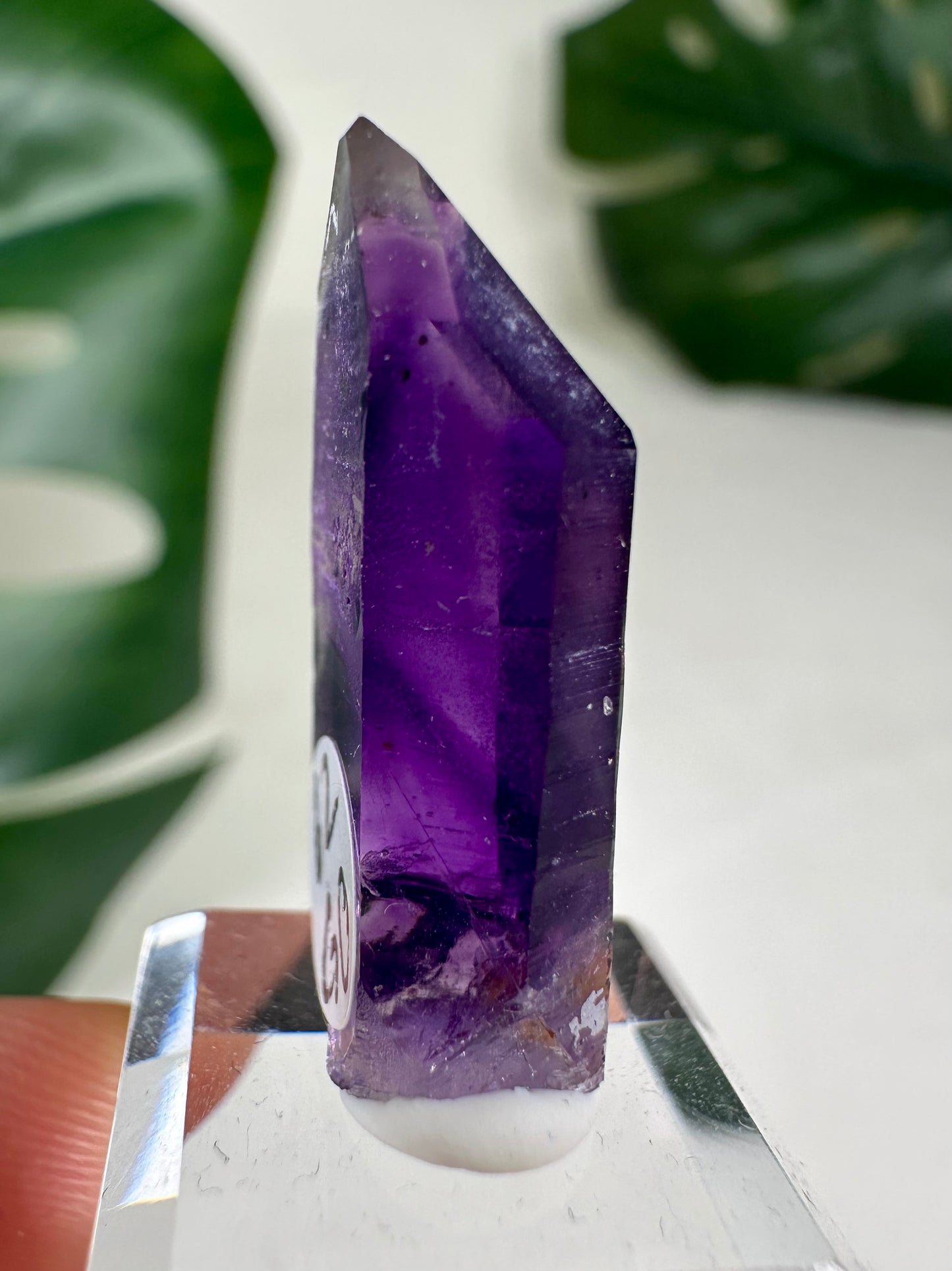 Goboboseb Quarz x Amethyst - Ocean Mine Nr.62GO