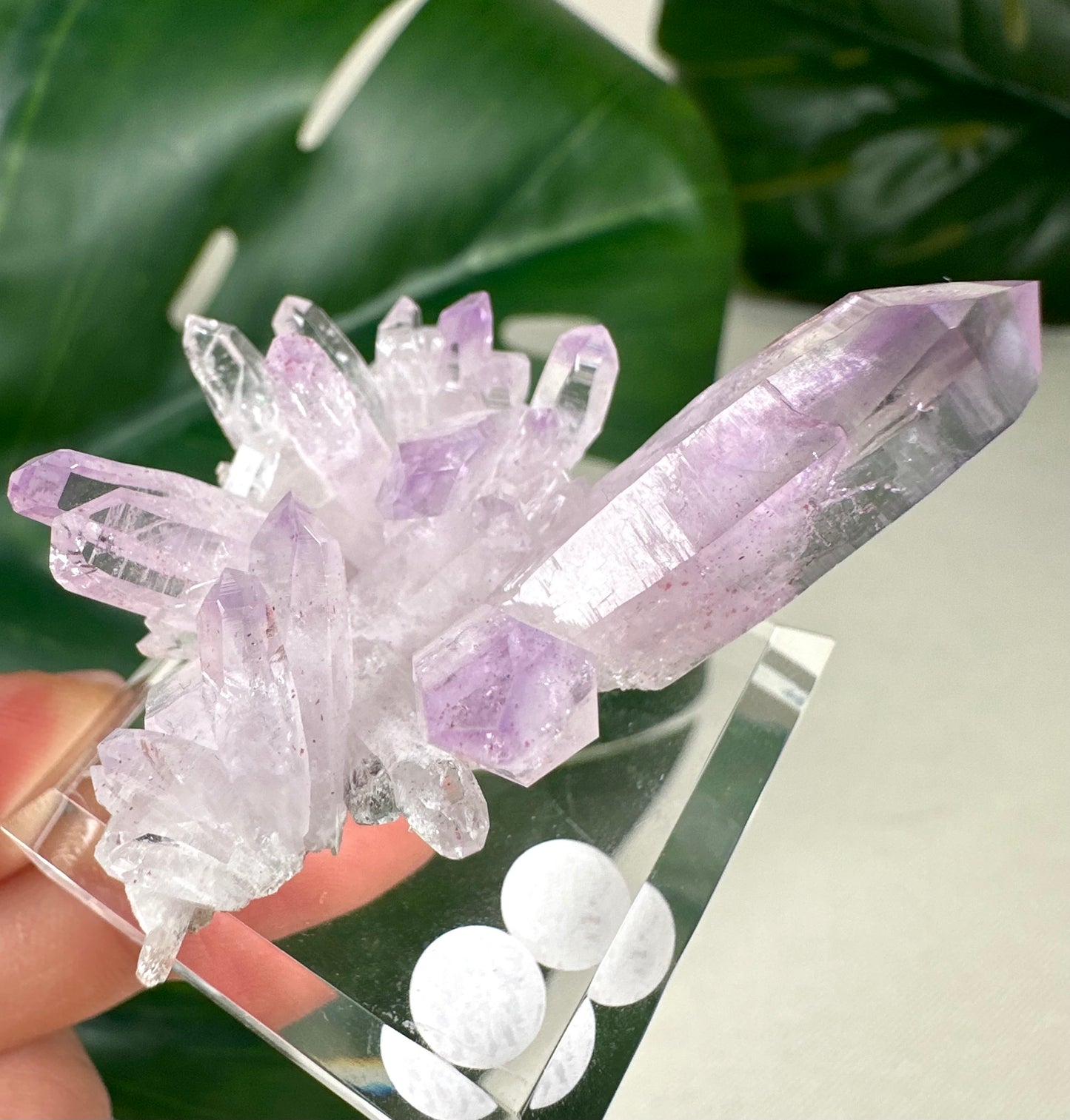 Vera Cruz Amethyst Nr. 149VC