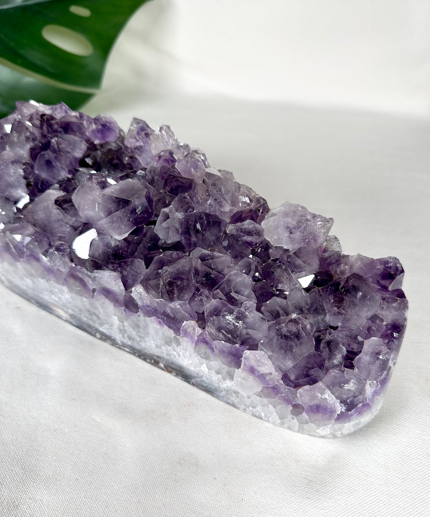 Amethyst Cluster XL Nr.485AC