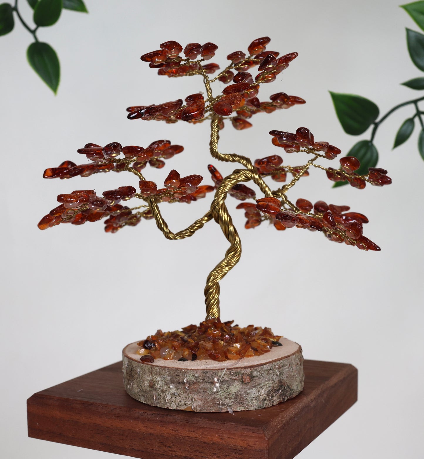 Bernstein Baum Nr.53B1