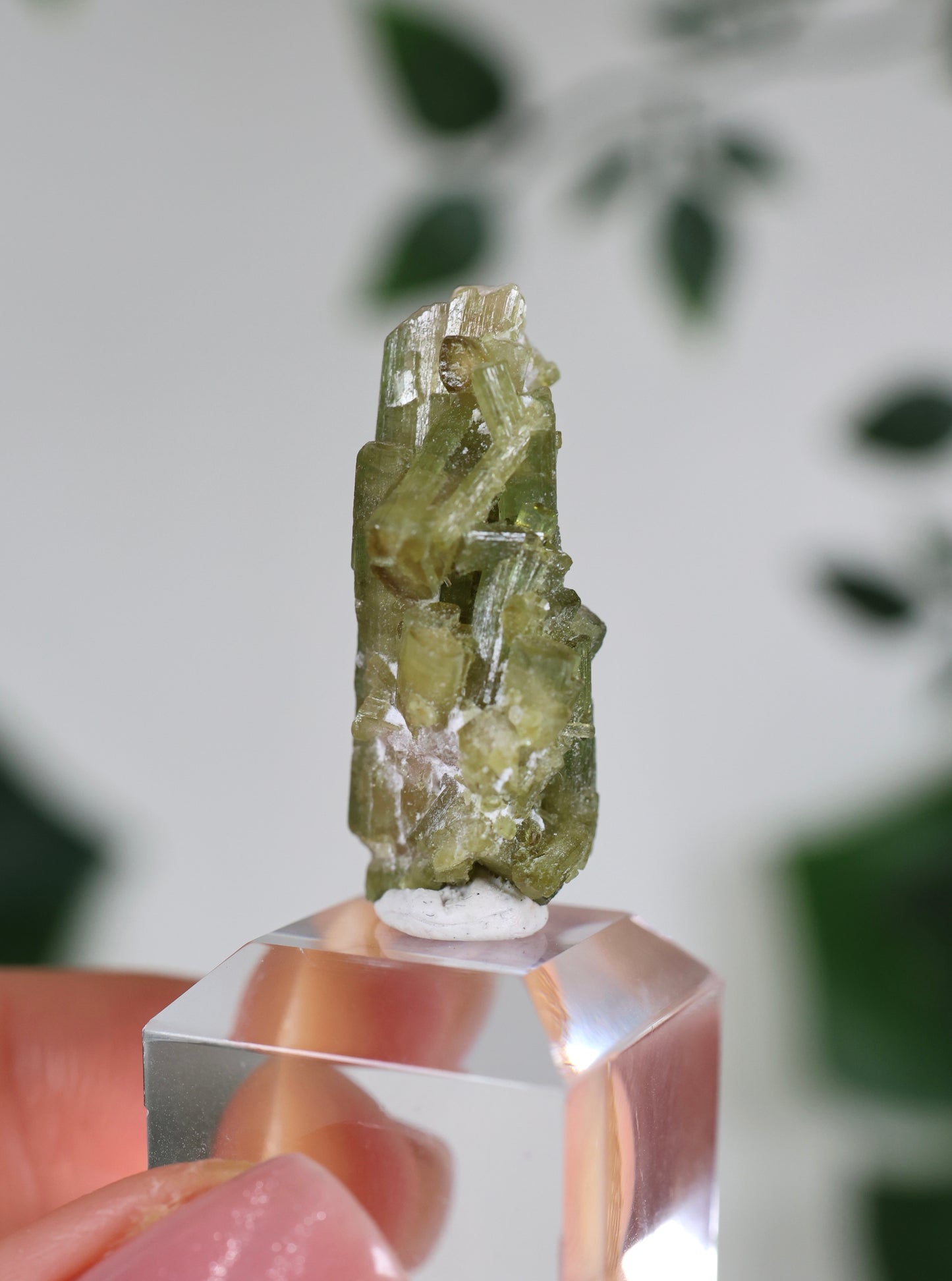 Grüner Turmalin XS - Auswahl