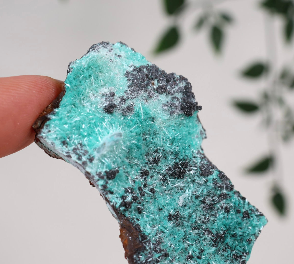 Aurichalcite Nr.30AU