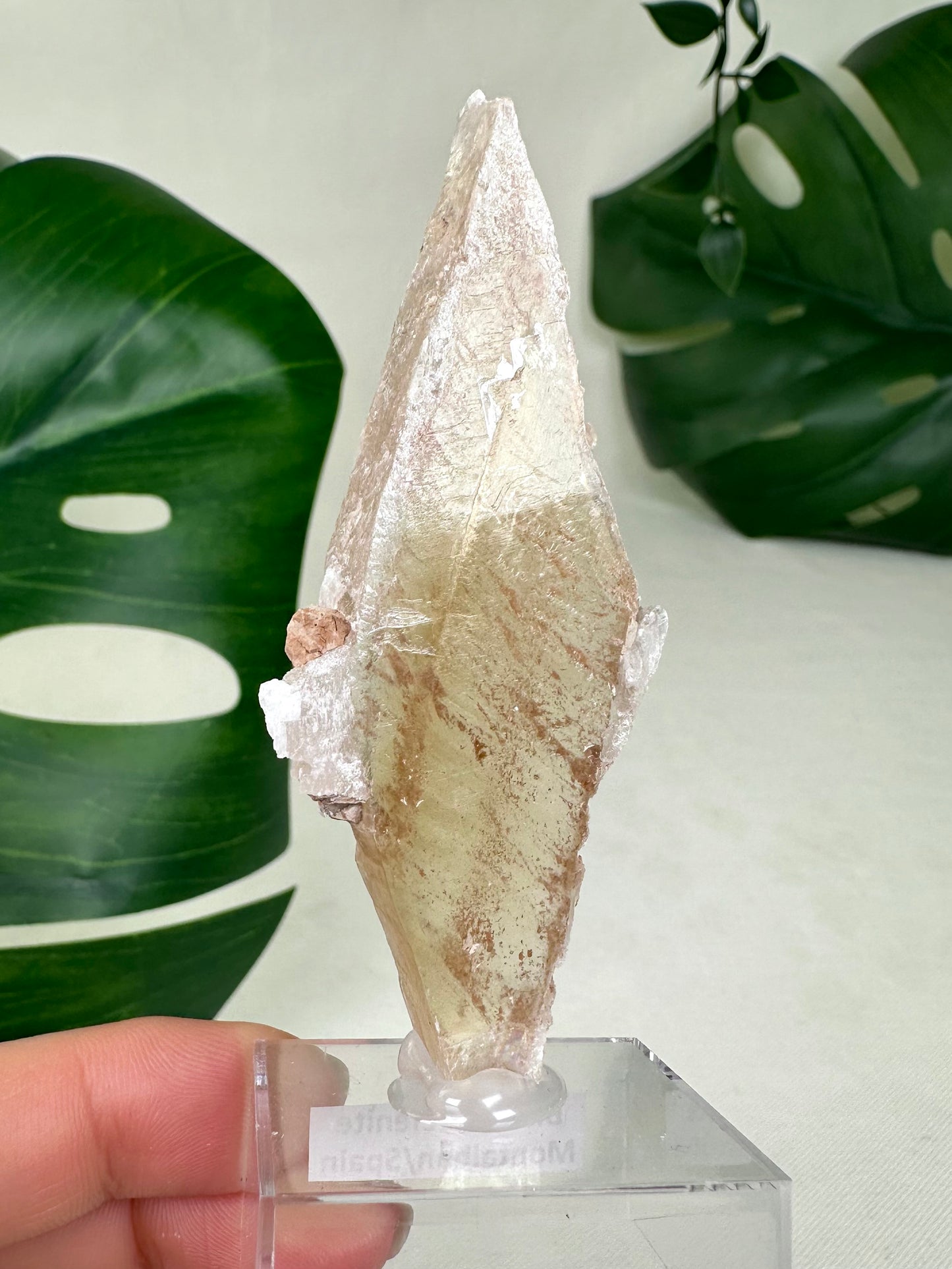 Bicolor Selenite No. 14S1