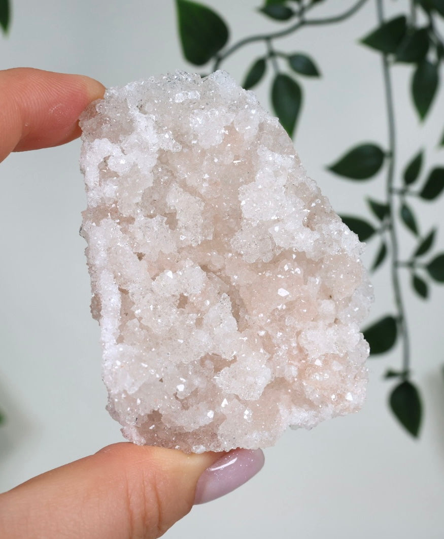 Pink Apophyllit Crust HQ Nr.60PA