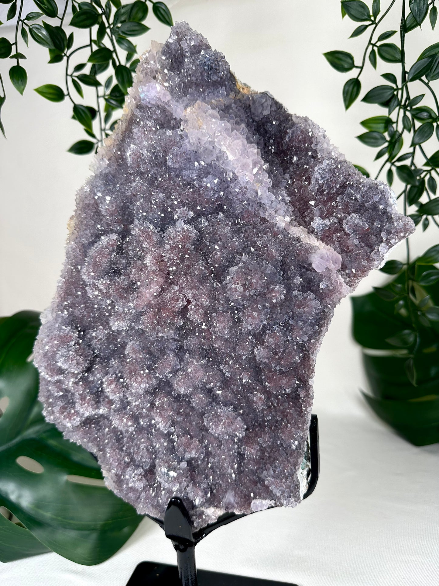 Amethyst XXL Nr.440AC