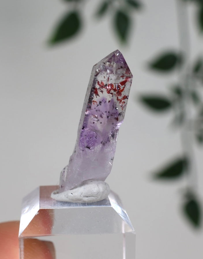 Goboboseb Quarz x Hämatit x Amethyst Nr.87GA