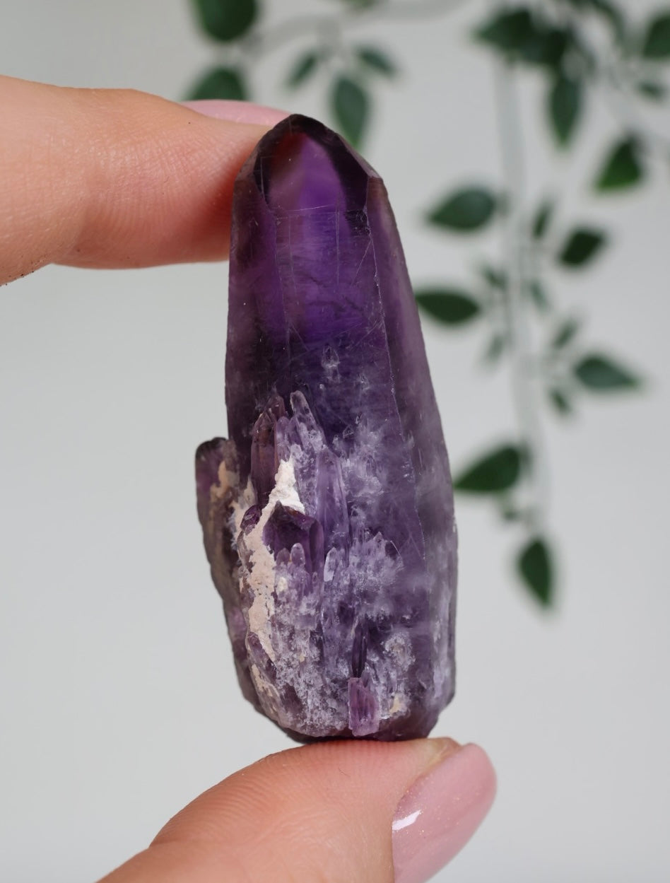 Amethyst - Neufund Nr.42AK