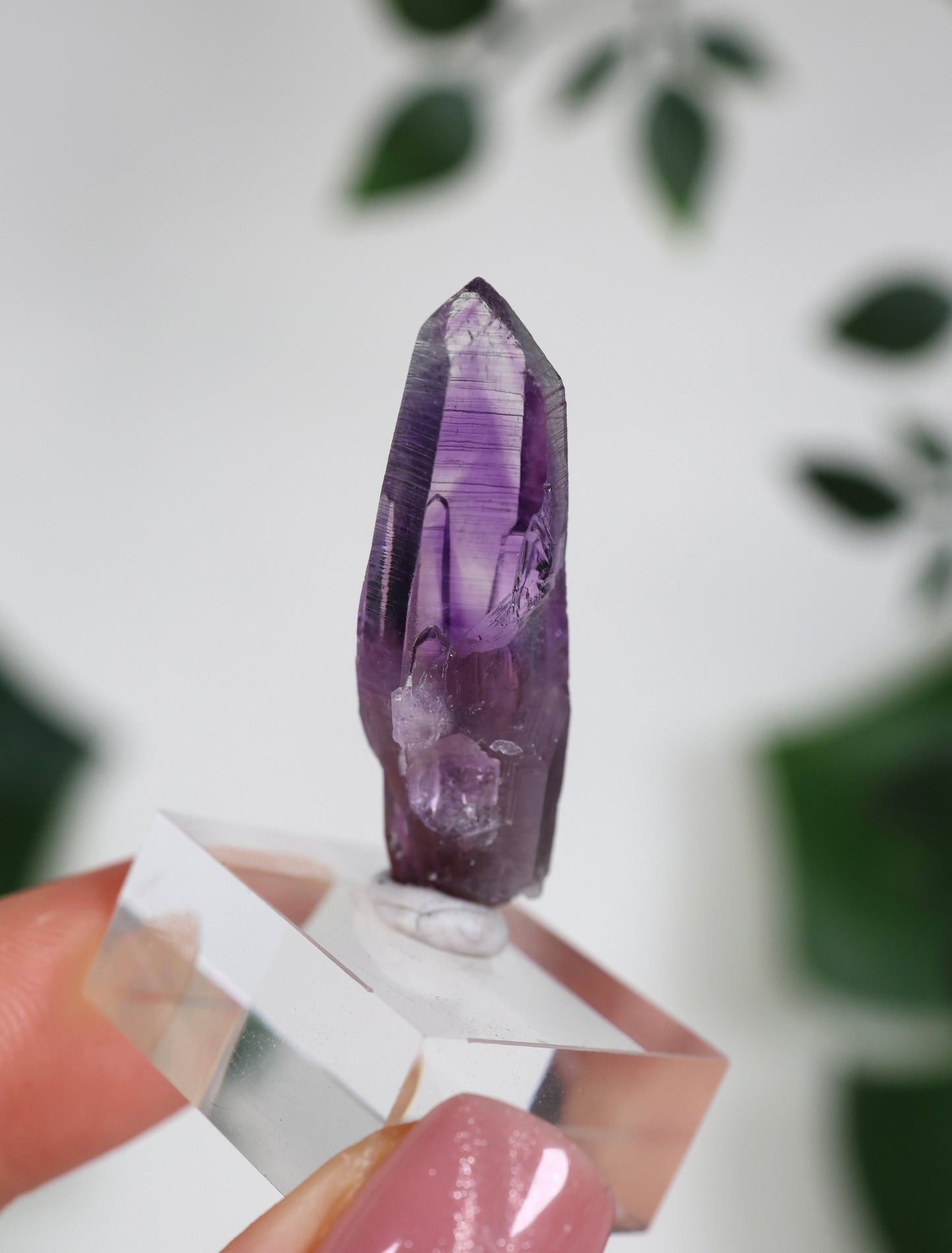 Guerrero Amethyst Nr.37GA