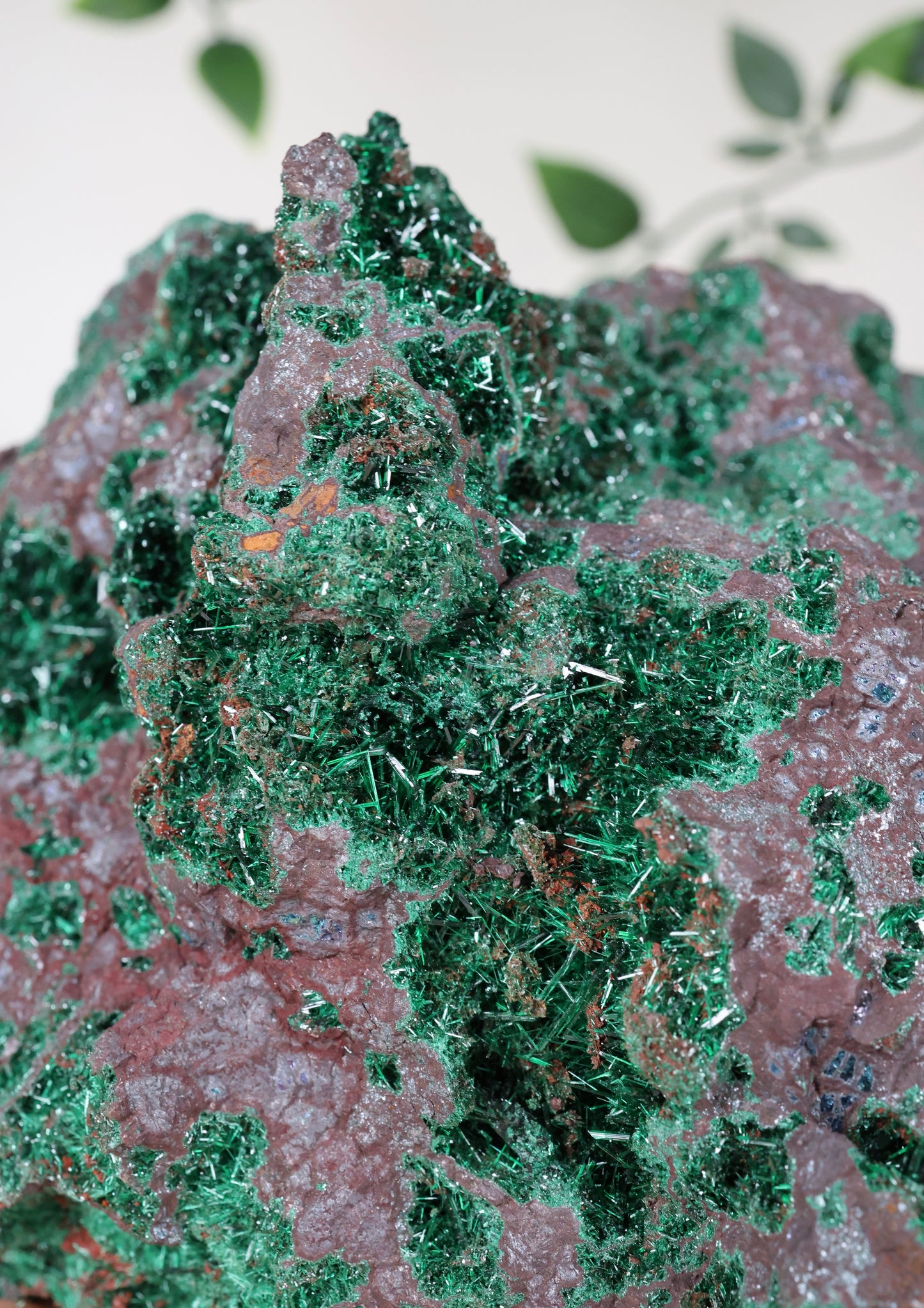 Brochantit x Bornit Nr.295BC