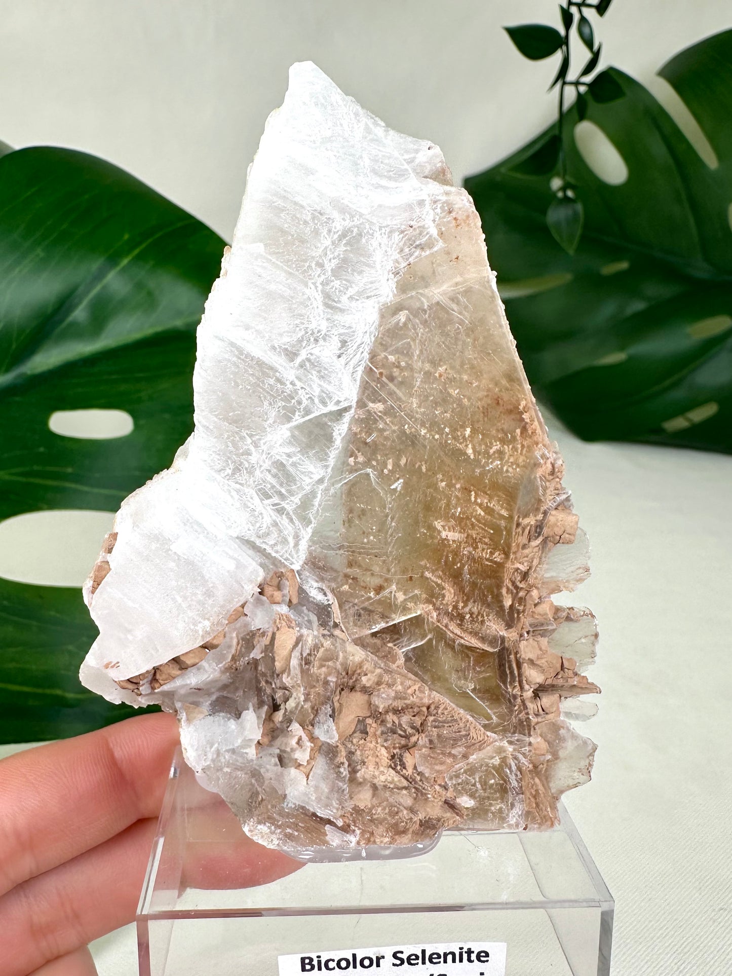 Bicolor Selenite No. 72BS
