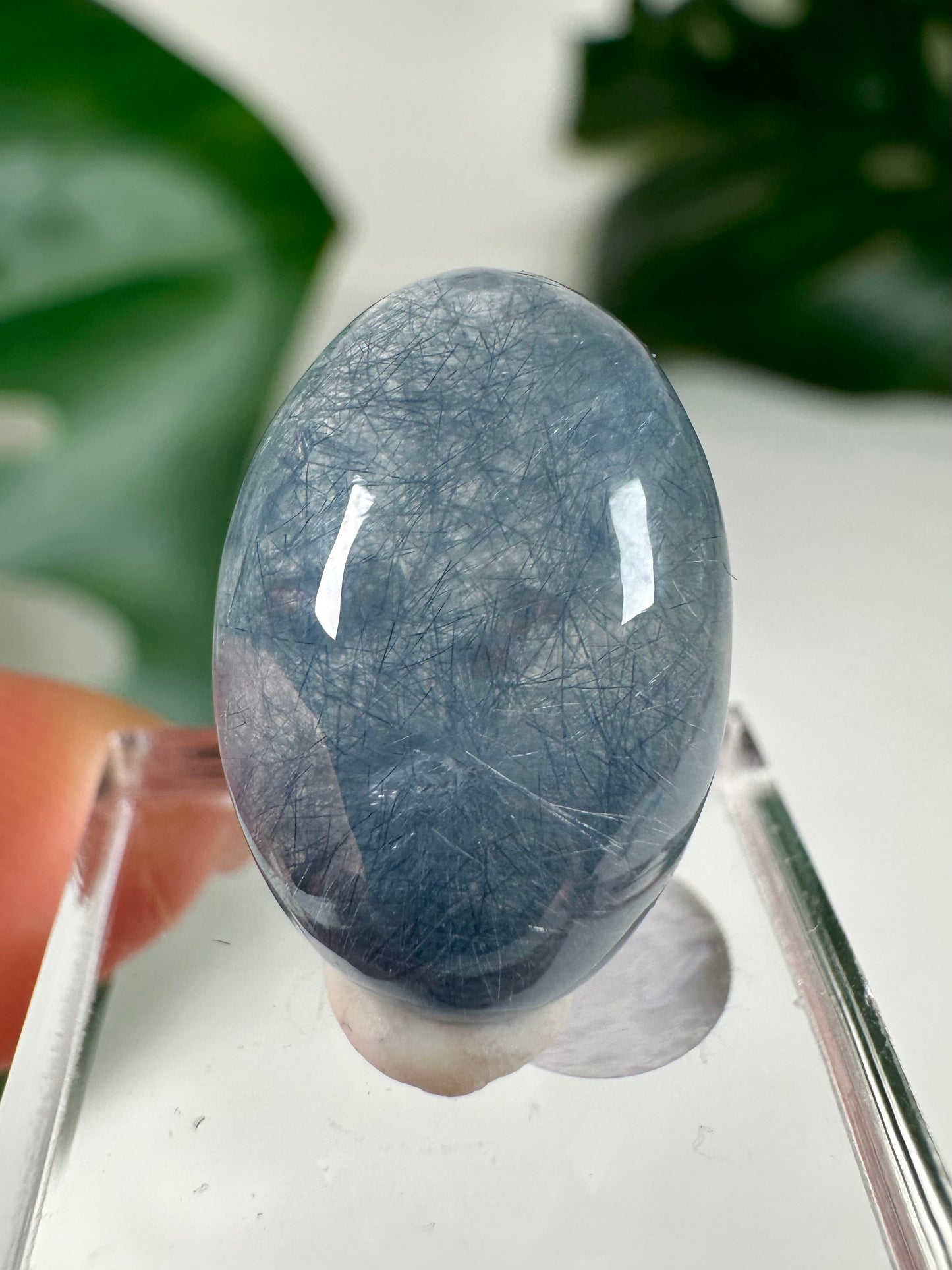 Blauer Amphibolquarz Cabochon - Auswahl