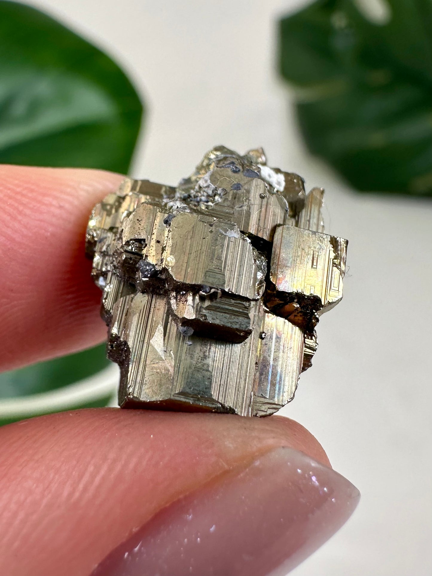 Pyrite No. 10P4