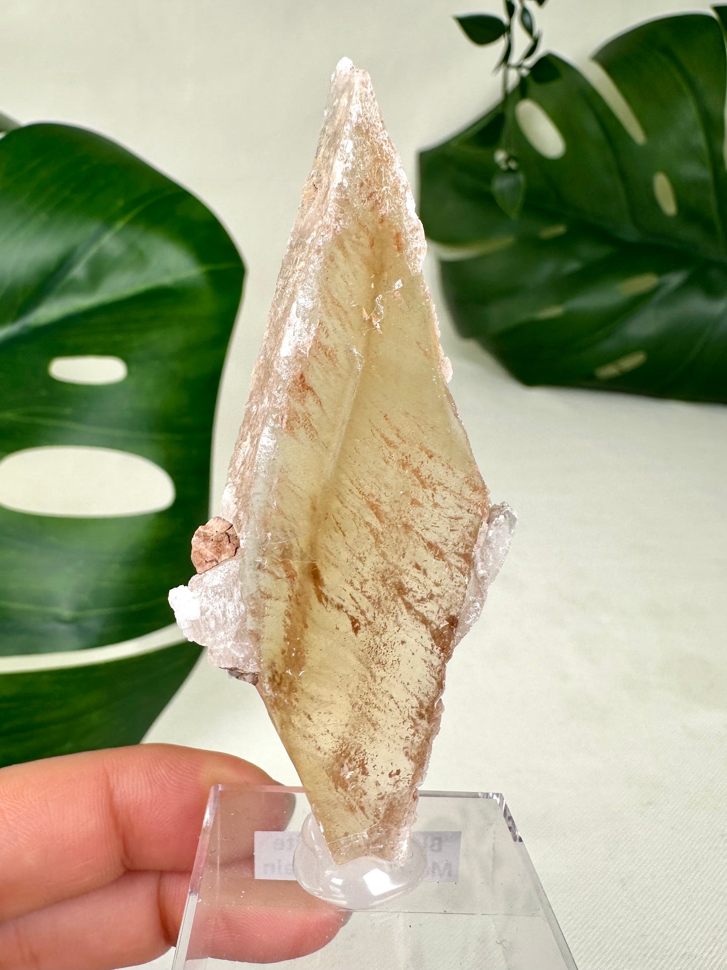 Bicolor Selenite No. 14S1
