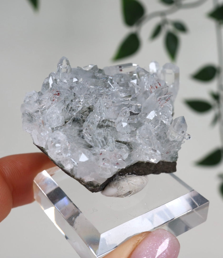 Starburst Quarz x Hämatit Goboboseb Nr.156GQ