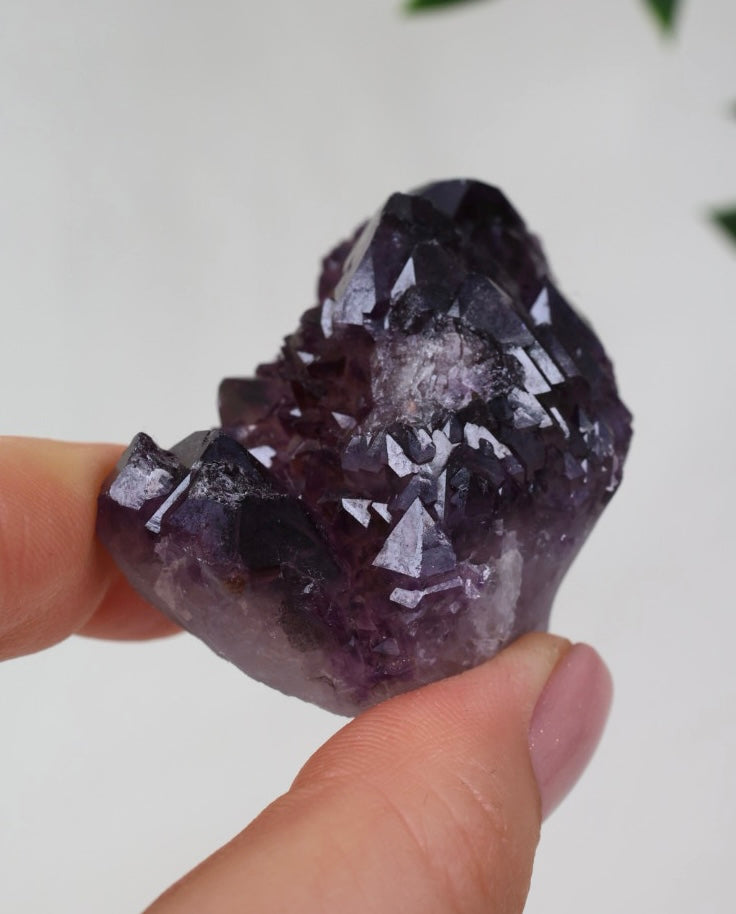 Amethyst x Hämatit Nr.43AH