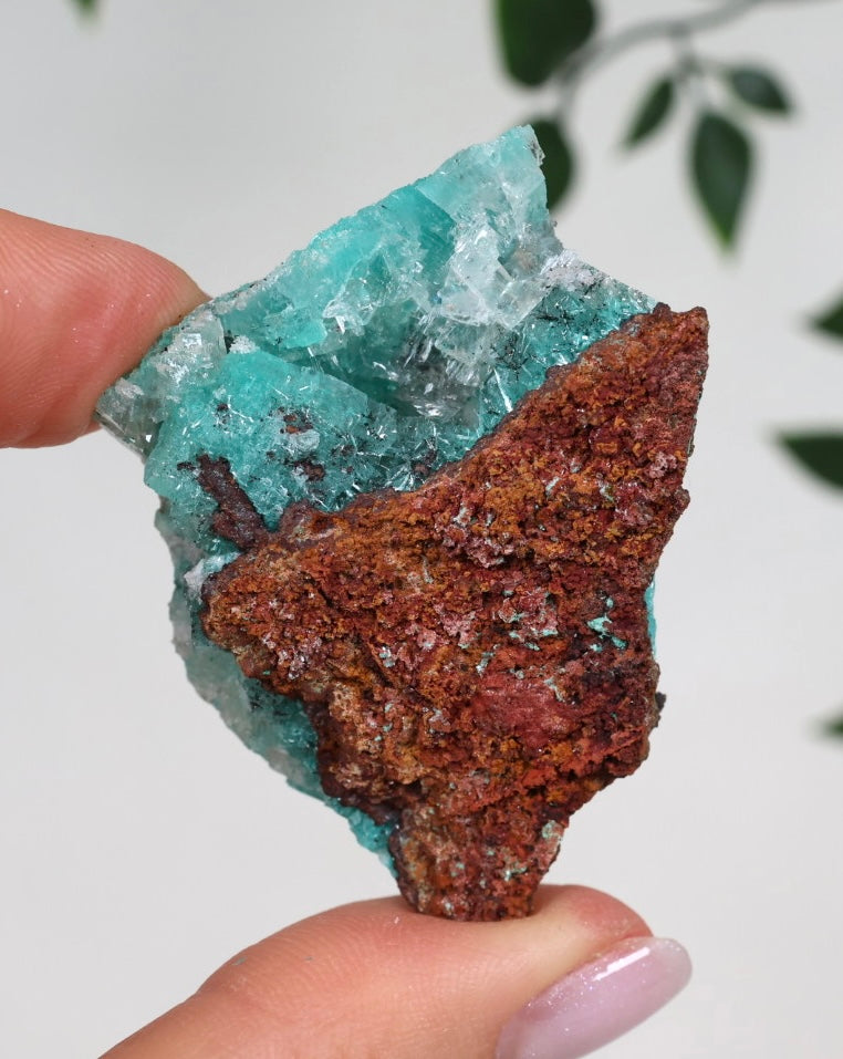 Aurichalcite Nr.29AR