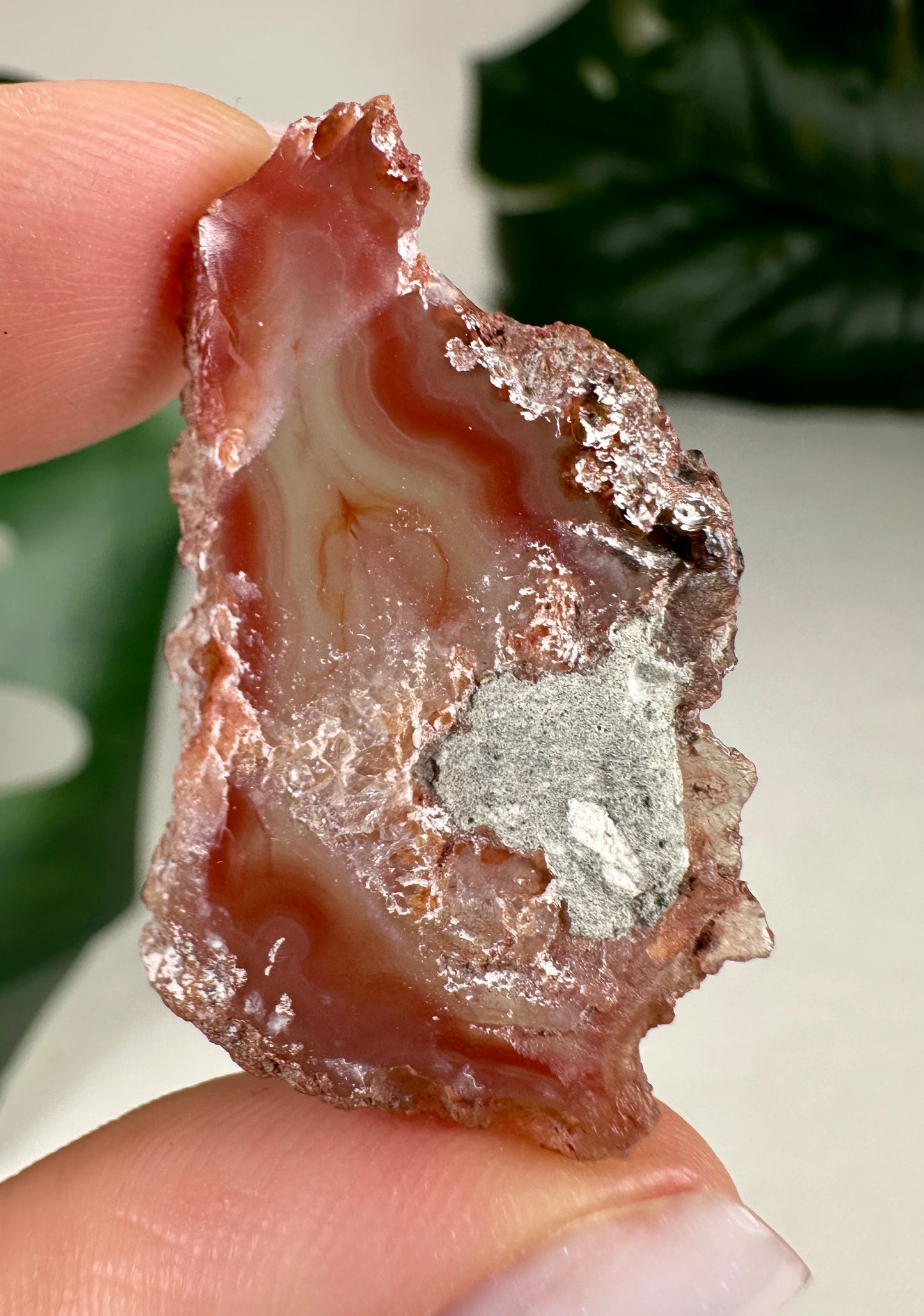 Coyamito Agate Slice - Red - Selection