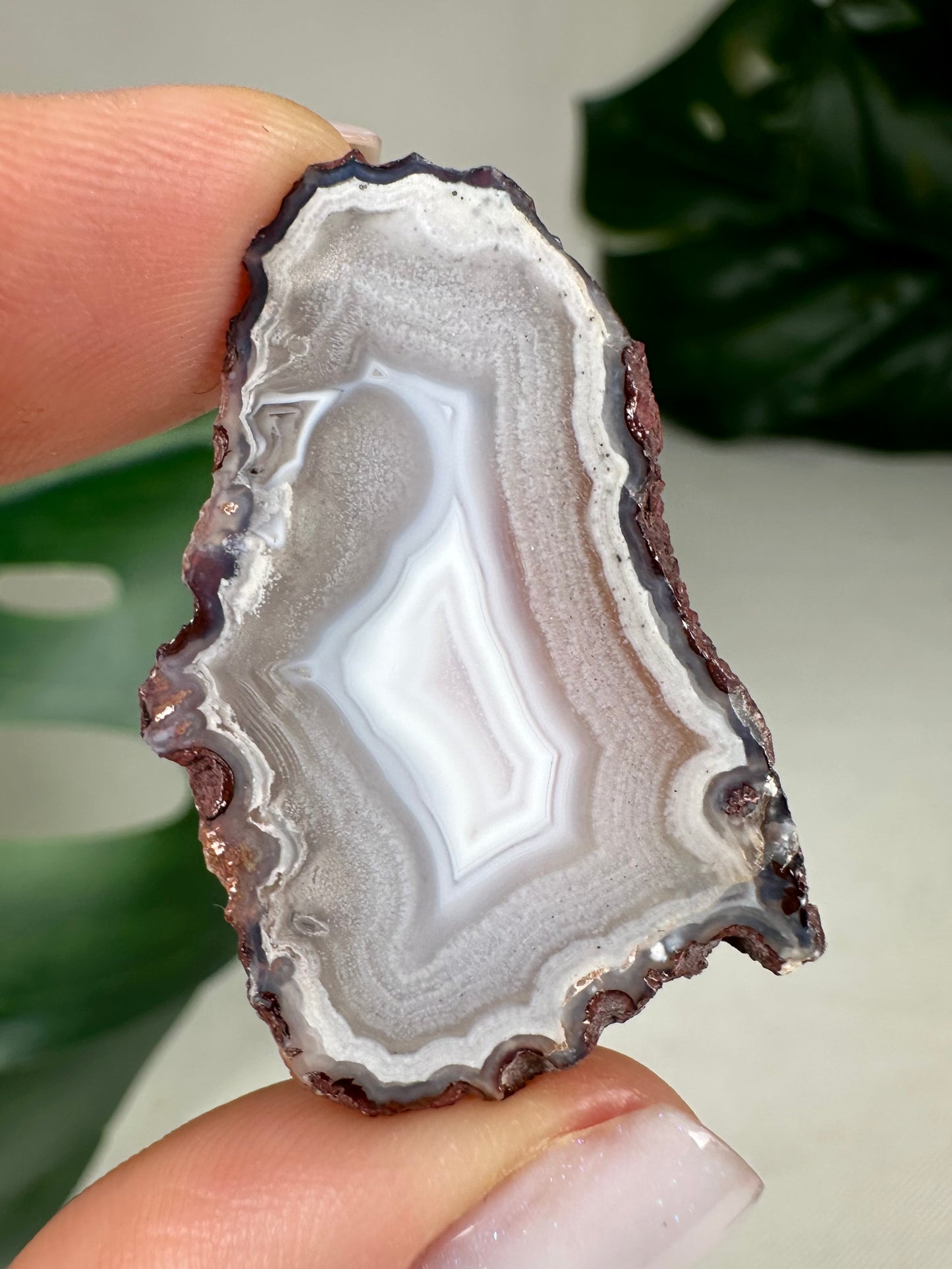 Coyamito Agate Slice - Purple - Selection