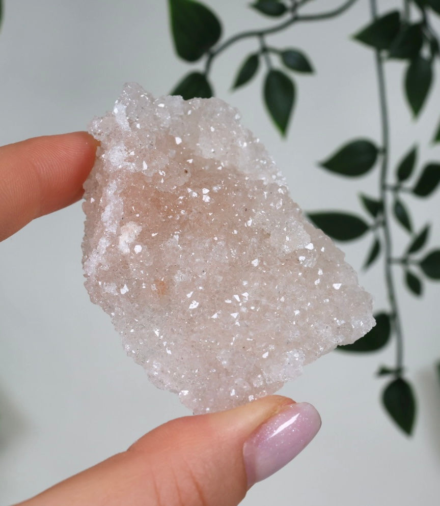 Pink Apophyllit Crust HQ Nr.49PA