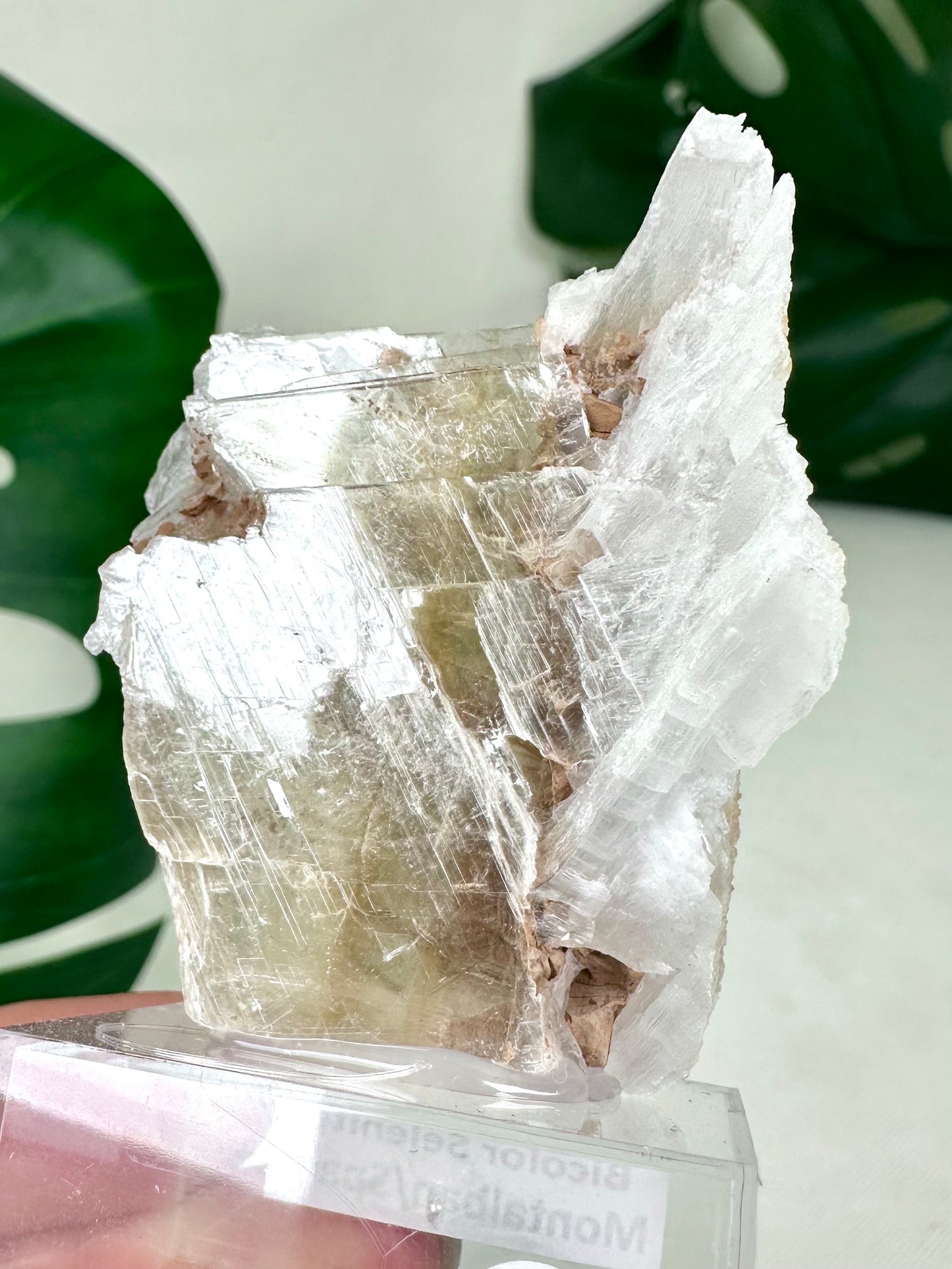 Bicolor Selenite No. 20BS