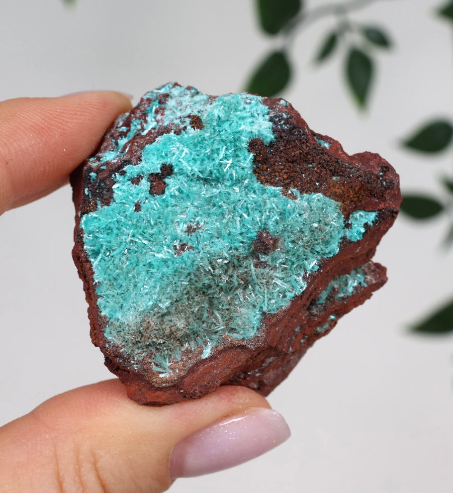 Aurichalcite Nr.30AC
