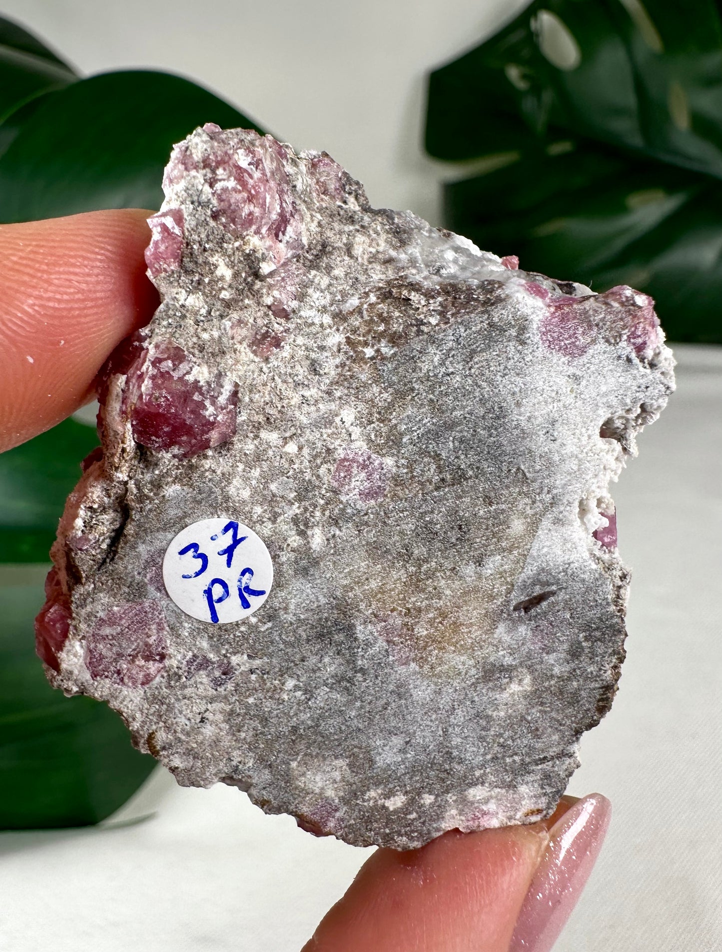 Pinker Granat Nr.37PR