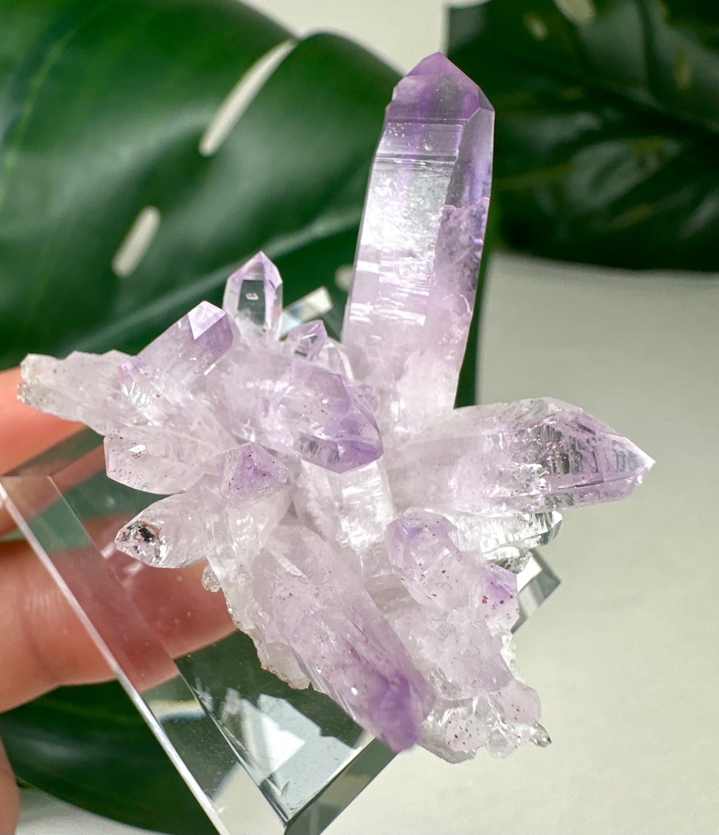 Vera Cruz Amethyst Nr. 149VC