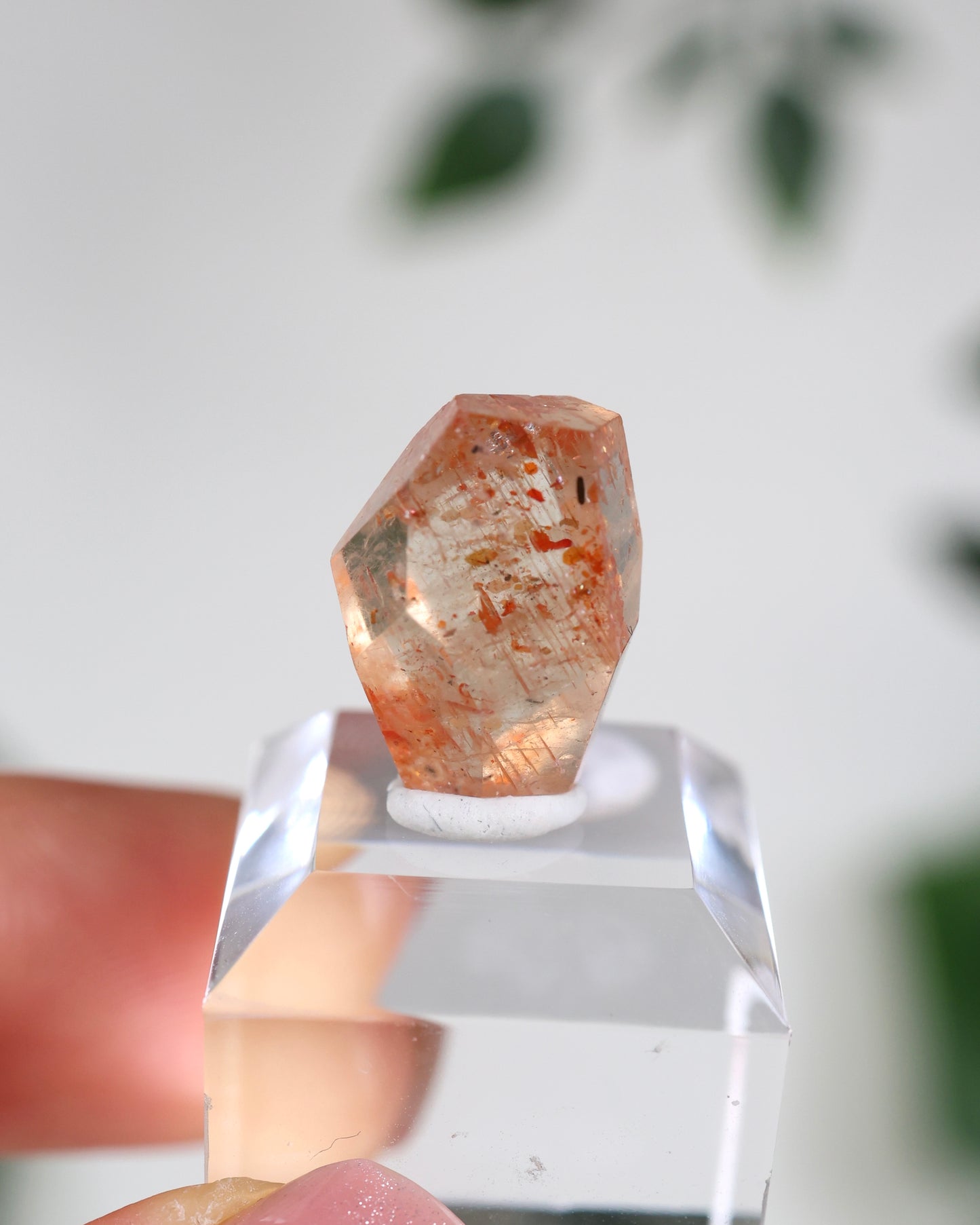 Sonnenstein in Quarz Nr.22SQ