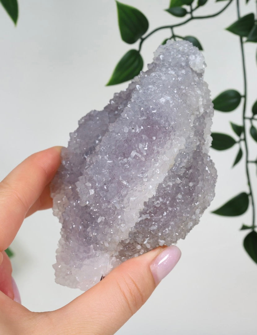 Lavendel Quarz Nr.67LV