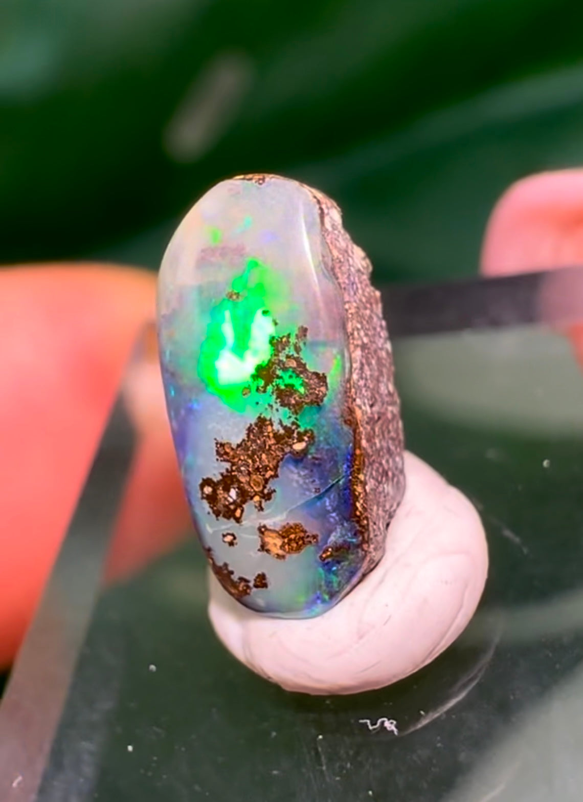 Boulder Opal Nr.87BO