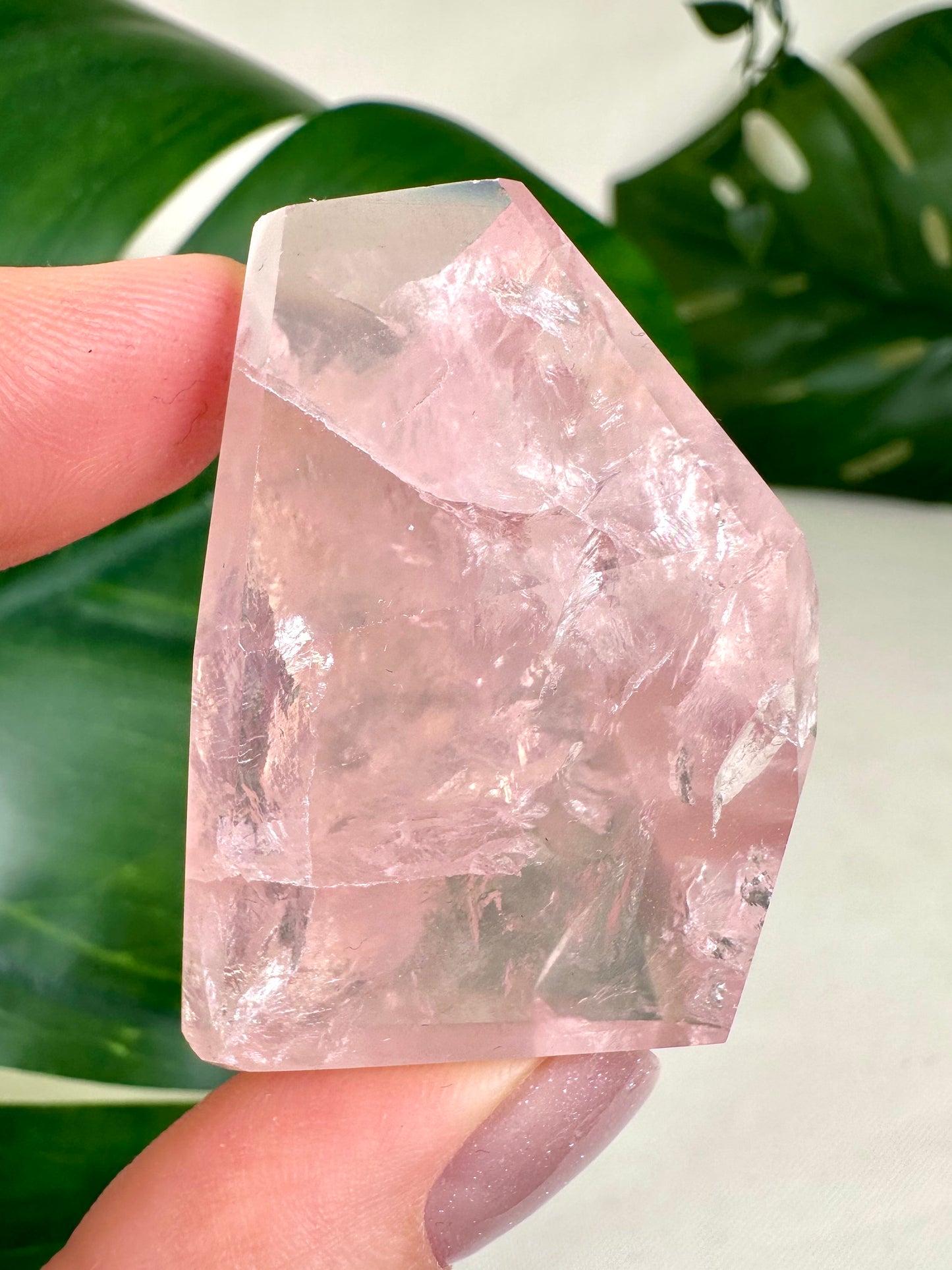 Rose Quartz No. 25R4