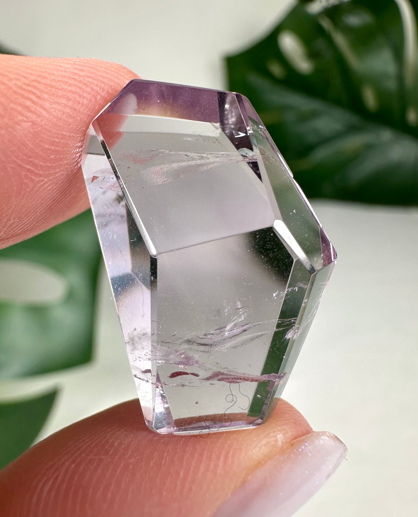 Rose de France Amethyst - Selection