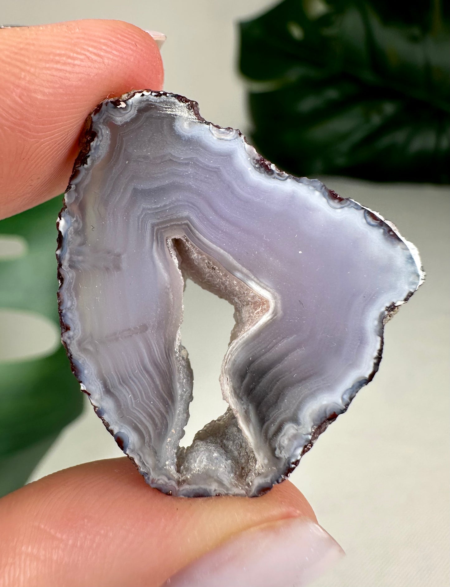 Coyamito Agate Slice - Purple - Selection